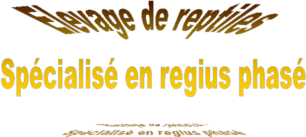 Elevage de reptiles
Spcialis en regius phas